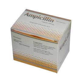 합성 파생적인 암피실린은 250의 mg 500 mg 구두 항생 약물을 요약합니다