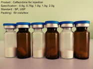주입 0.5G - 2.0G를 위한 Ceftazidime 항생 나트륨/Ceftazidime