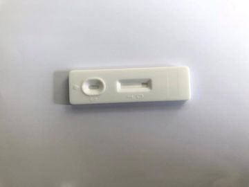 의학 병리학적인 분석 장비 Mycoplasma Pneumoniae Ab IgM 급속한 시험 장비