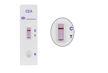 정확한 CEA Carcinoembryonic 항원 WB/S/P를 이용하는 급속한 시험 지구 카세트